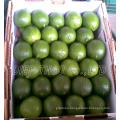 FRESH LIME SEEDLESS/ DRIED LIME SLICES